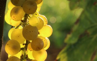 Le 16 septembre 2020