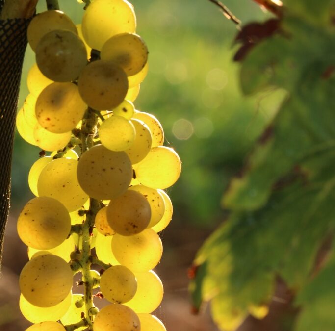 Le 16 septembre 2020