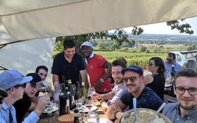 Fin des vendanges 2020