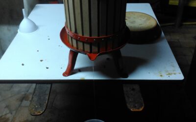 Début novembre 2024